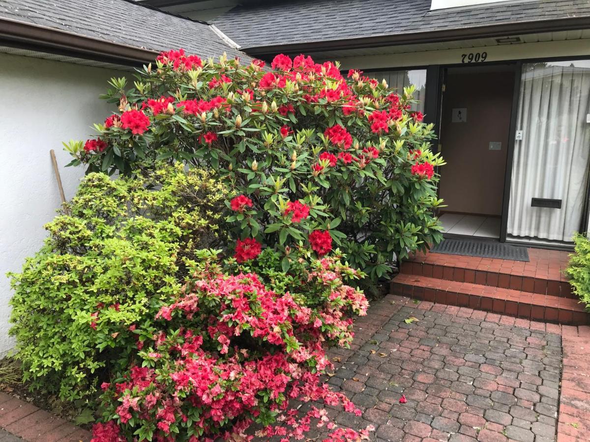 Big Tree In Hotel Vancouver Exterior foto